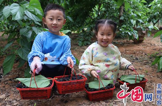 句容“小桑果”新花樣 創意“桑果宴”笑迎八方客