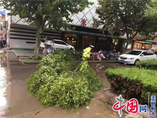 強降雨 公安局交警大隊確保交通暢通