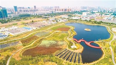 宿遷泗洪縣污水處理廠尾水濕地公園生機(jī)盎然