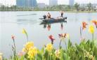 宿遷泗洪縣污水處理廠尾水濕地公園生機盎然