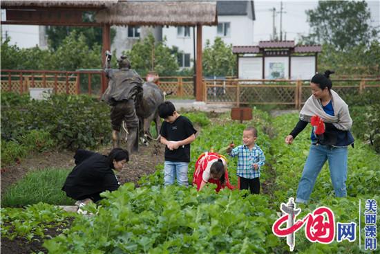 溧陽市禮詩圩村：共享經濟引領鄉村振興