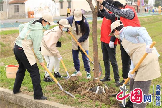 溧陽市南渡鎮：同植一片綠 共繪一抹紅