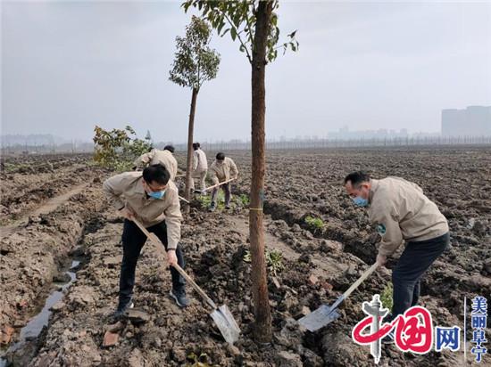 國網(wǎng)阜寧縣供電公司：抗擊疫情陰霾 播種綠色希望