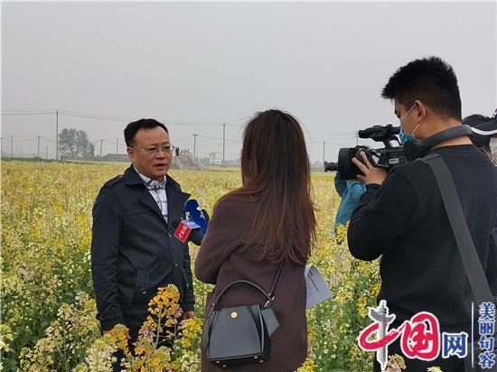 句容李家橋：昔日“孤島”變花海 “美麗產業”助增收