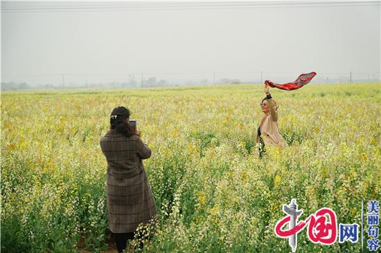 句容李家橋：昔日“孤島”變花海 “美麗產業”助增收