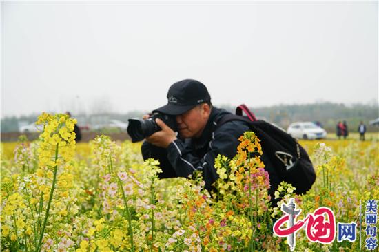 句容李家橋：昔日“孤島”變花海 “美麗產業”助增收