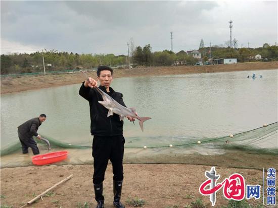 溧陽何平：曾經捧著“鐵飯碗”   如今養殖“匙吻鱘”走上創富路