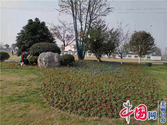 句容市城管局更換草花 喜迎元旦