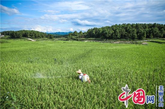 昆山這兩個集體獲全國先進集體殊榮