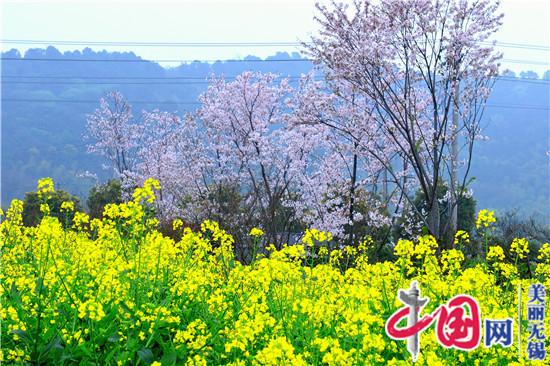 第四屆九龍灣花朝節暨花星球年輕藝術節今起動