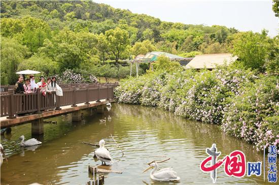 無錫動物園春之童趣季“五一”歡樂加演