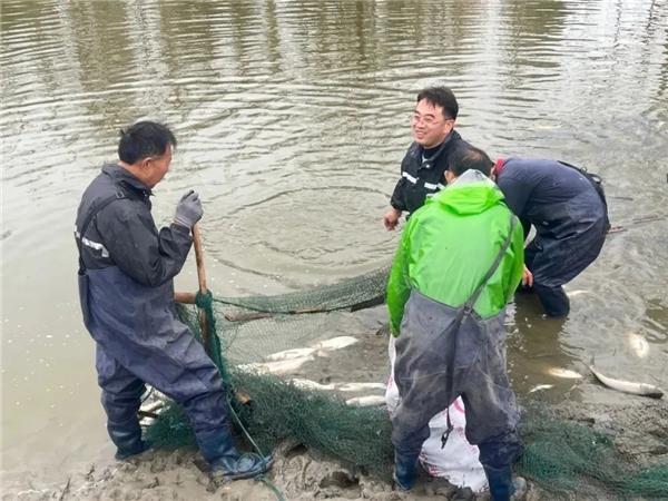 江蘇如皋下原鎮：握好黨建領航筆 繪就水美新畫卷