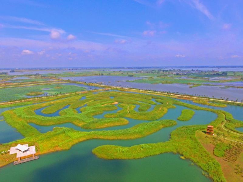 新質(zhì)·金湖之一：“新” 風(fēng)勁吹 激起荷都“一汪春水”