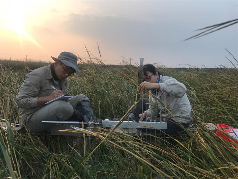 鹽城簽約全國首單“司法+鹽沼+藍碳”交易