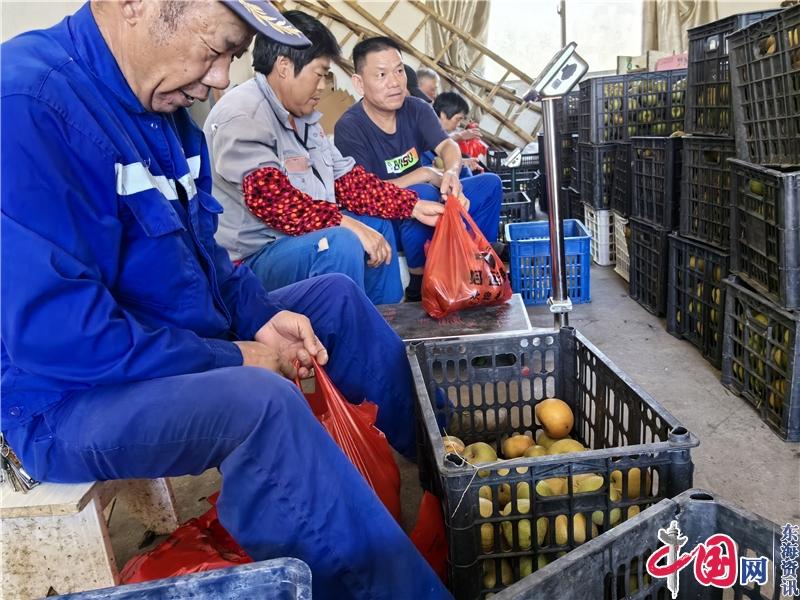 宜興官林“千億級鄉鎮”的另一面——工業重鎮的鮮果飄香