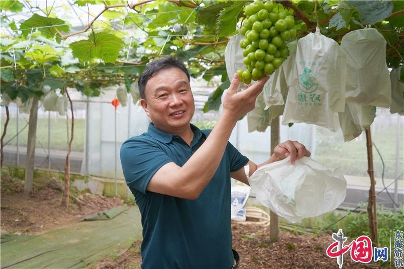 宜興官林“千億級鄉鎮”的另一面——工業重鎮的鮮果飄香